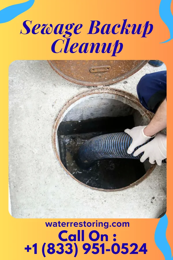 Sewage Backup Cleanup in Pendleton, MO